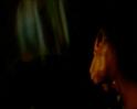 PDVD_1825