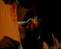 PDVD_1848