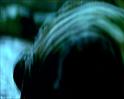 PDVD_208