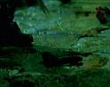 PDVD_222