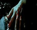 PDVD_228