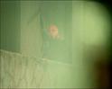 PDVD_276