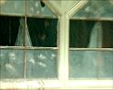 PDVD_287