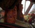 PDVD_0651.jpg