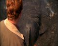 PDVD_0701.jpg
