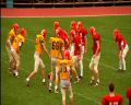 PDVD_1441.jpg