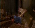 PDVD_3391.jpg