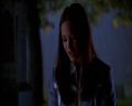 PDVD_3071.jpg