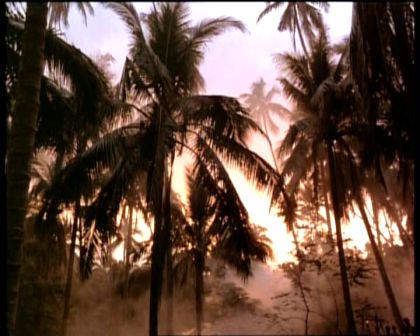 PDVD_004.jpg