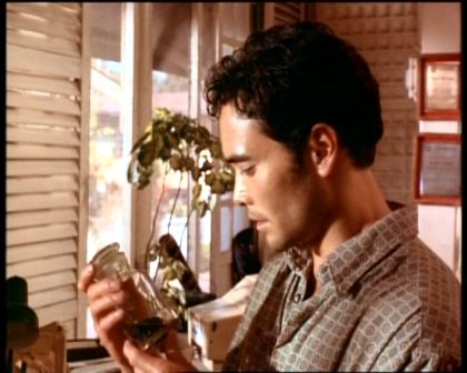 PDVD_101.jpg