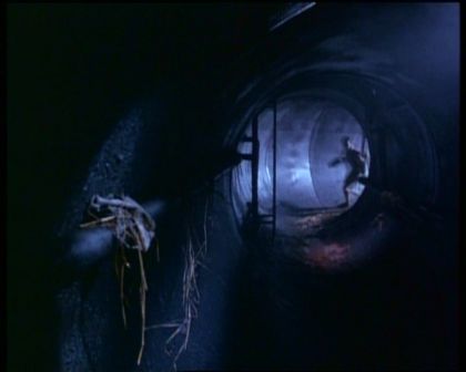 PDVD_1053.jpg