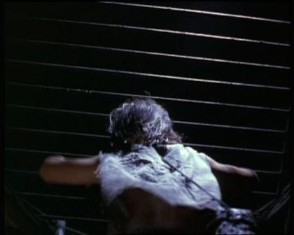 PDVD_1060.jpg