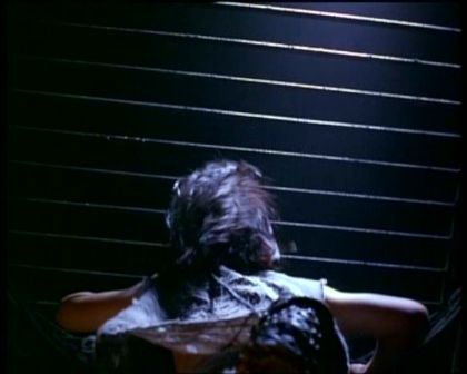 PDVD_1064.jpg