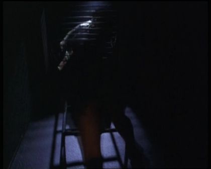 PDVD_1067.jpg