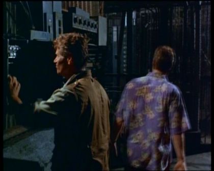 PDVD_1137.jpg