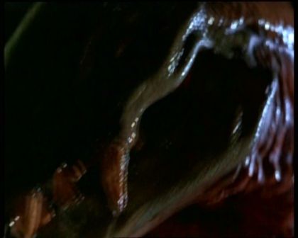 PDVD_1154.jpg