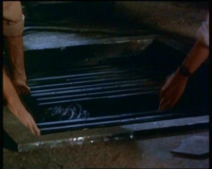 PDVD_1196.jpg