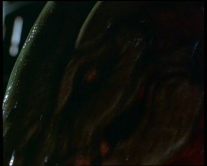 PDVD_1205.jpg