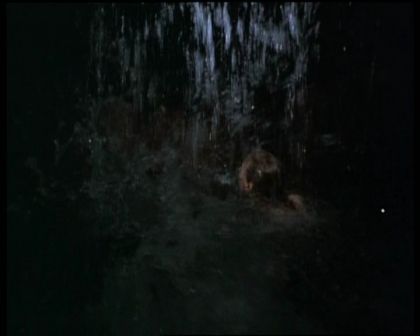 PDVD_1259.jpg