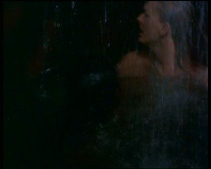PDVD_1268.jpg