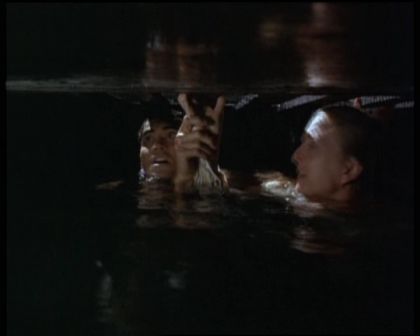 PDVD_1310.jpg