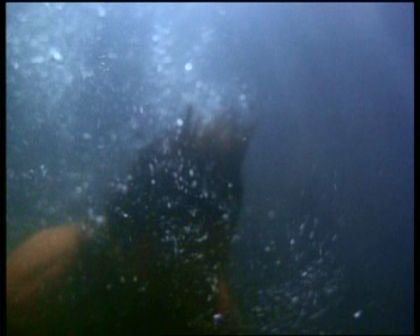 PDVD_1315.jpg