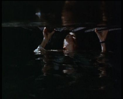 PDVD_1317.jpg