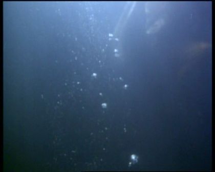 PDVD_1318.jpg