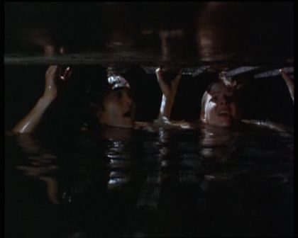 PDVD_1321.jpg