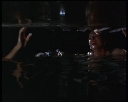 PDVD_1322.jpg