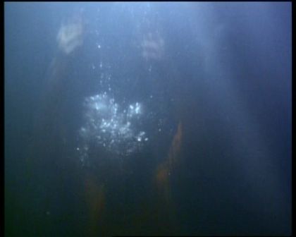 PDVD_1334.jpg