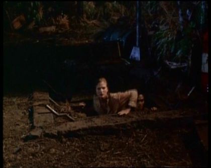 PDVD_1354.jpg