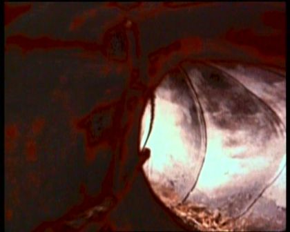 PDVD_1373.jpg