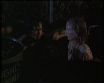 PDVD_1480.jpg