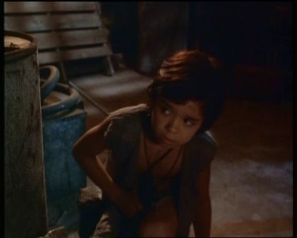 PDVD_1484.jpg