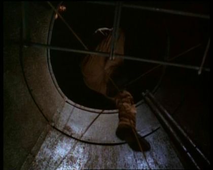 PDVD_1494.jpg
