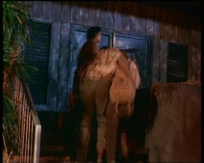 PDVD_1521.jpg