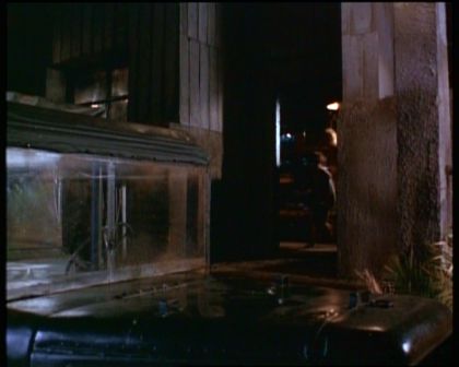 PDVD_1570.jpg