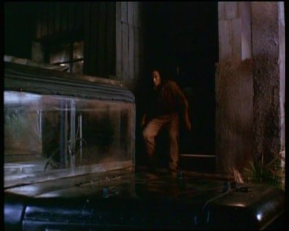 PDVD_1571.jpg