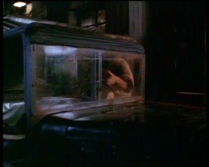 PDVD_1572.jpg