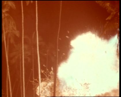 PDVD_1607.jpg