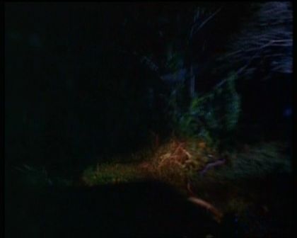 PDVD_1623.jpg