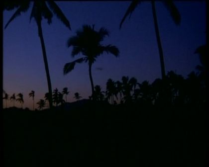PDVD_1629.jpg