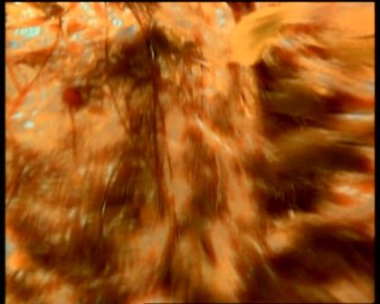 PDVD_1634.jpg