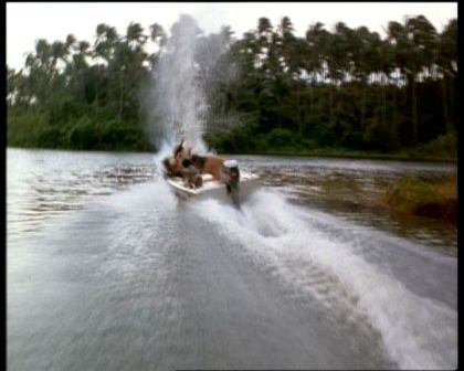 PDVD_1663.jpg
