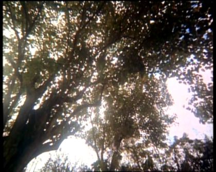 PDVD_1679.jpg