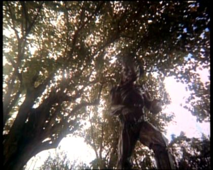 PDVD_1681.jpg