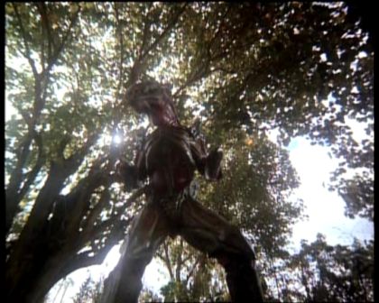 PDVD_1684.jpg