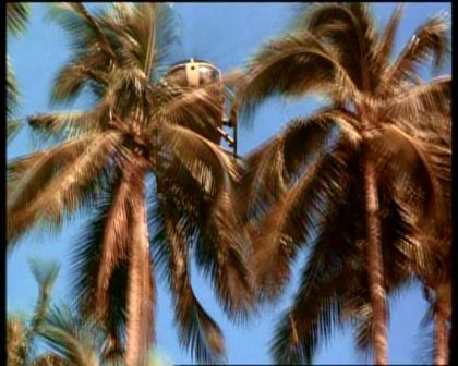 PDVD_1697.jpg