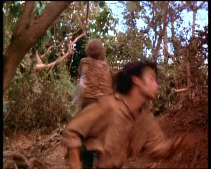 PDVD_1719.jpg